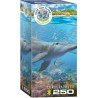 Puzzle 250 pièces -  Dauphins