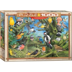 Puzzle 1000 pièces - Oiseaux de jardin