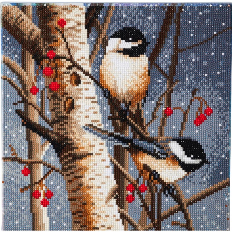 Kit tableau à diamanter Crytal Art 30x30cm - Oiseaux de la foret