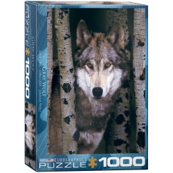 Puzzle 1000 pièces - Loup gris