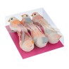 Set oiseaux sur pince Love Story x6pcs