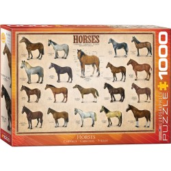 Puzzle 1000 pièces - Chevaux