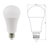 Ampoule à Led 15W Daylight