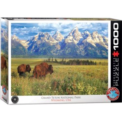 Puzzle 1000 pièces - Grand Teton National Park, Wyoming USA