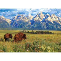 Puzzle 1000 pièces - Grand Teton National Park, Wyoming USA