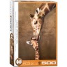 Puzzle 500 pièces - Le câlin de la girafe