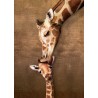 Puzzle 500 pièces - Le câlin de la girafe