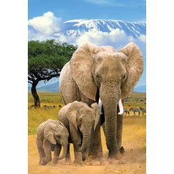 Puzzle 250 pièces - Eléphants