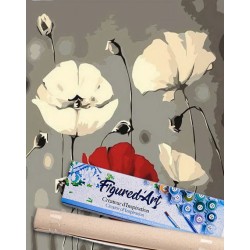 Peinture par numéros 40x50cm sur toile roulée - Fleurs rouge et blanches
