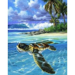 Peinture par numéros 40x50cm sur toile roulée - Tortue détendue