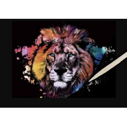 Peinture à gratter A3 - Lion coloré