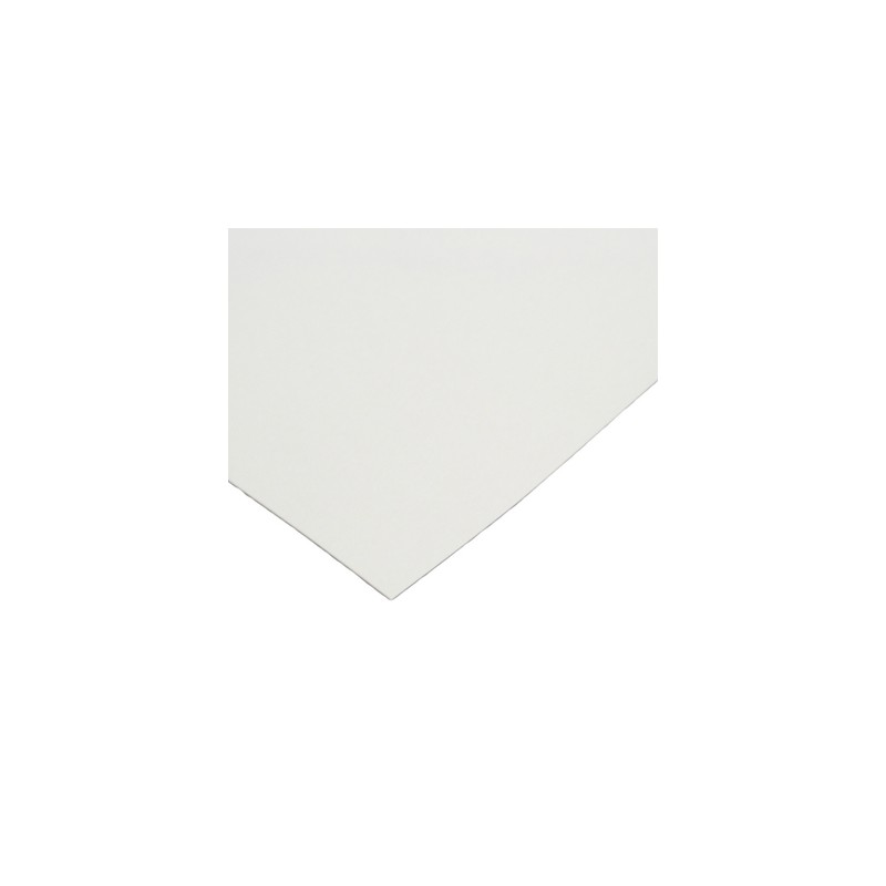 Canson C200454202 - Feuille Carton d'Art Studio® Bristol 50x65 1,2mm,  bristol blanc contrecollé 2 faces