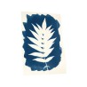 Kit d'impression Cyanotype