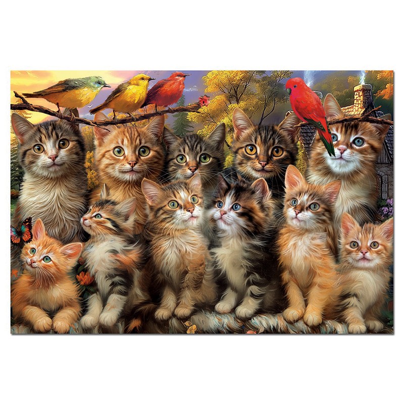 Puzzle 500 pièces - Chatons et oiseaux